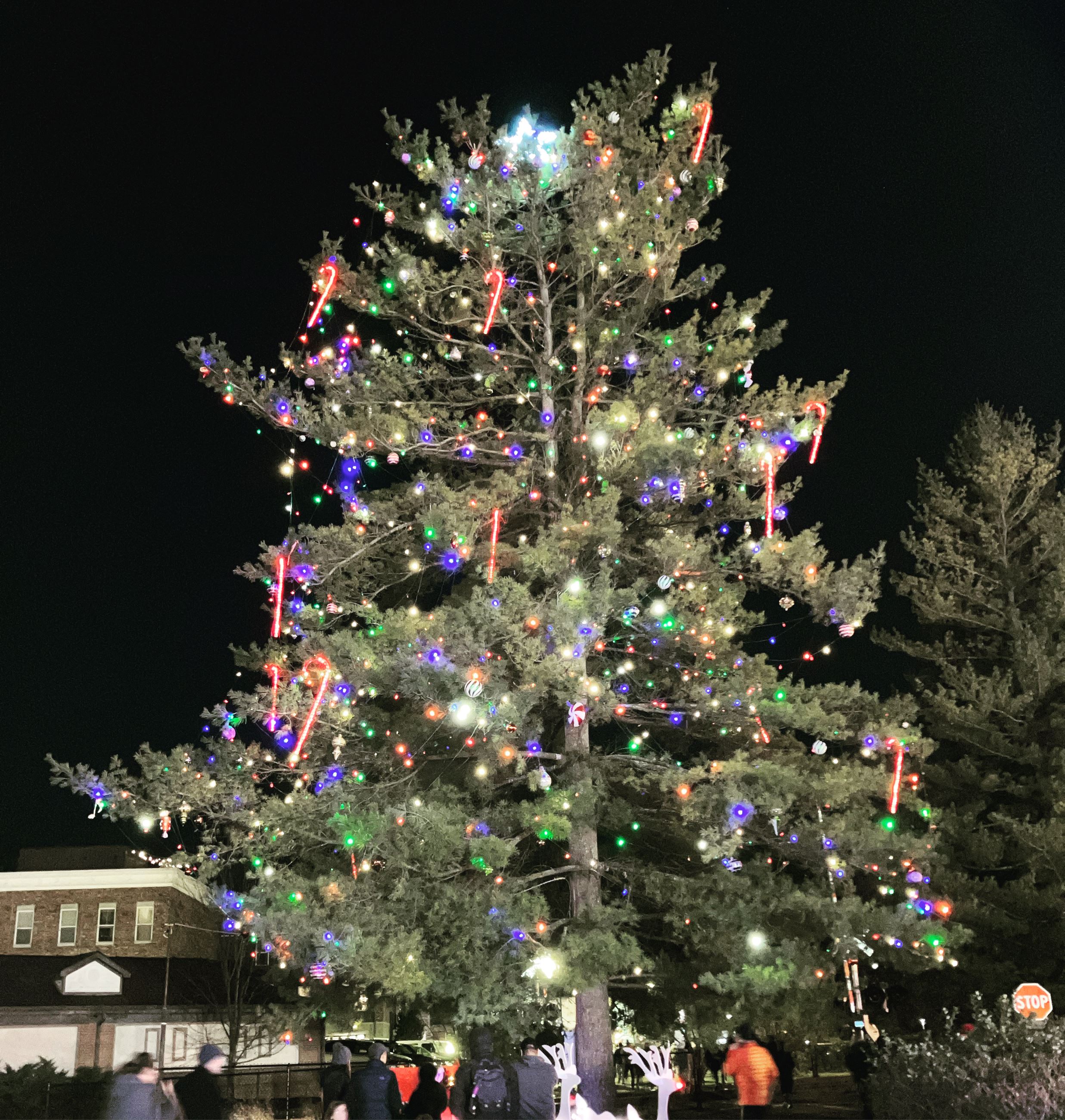 Decorated Christmas Tree with lights and ornaments