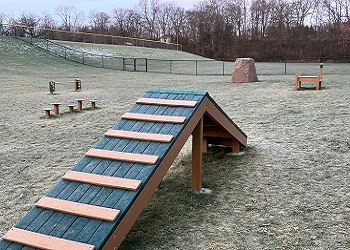 Dog Park Agility Course