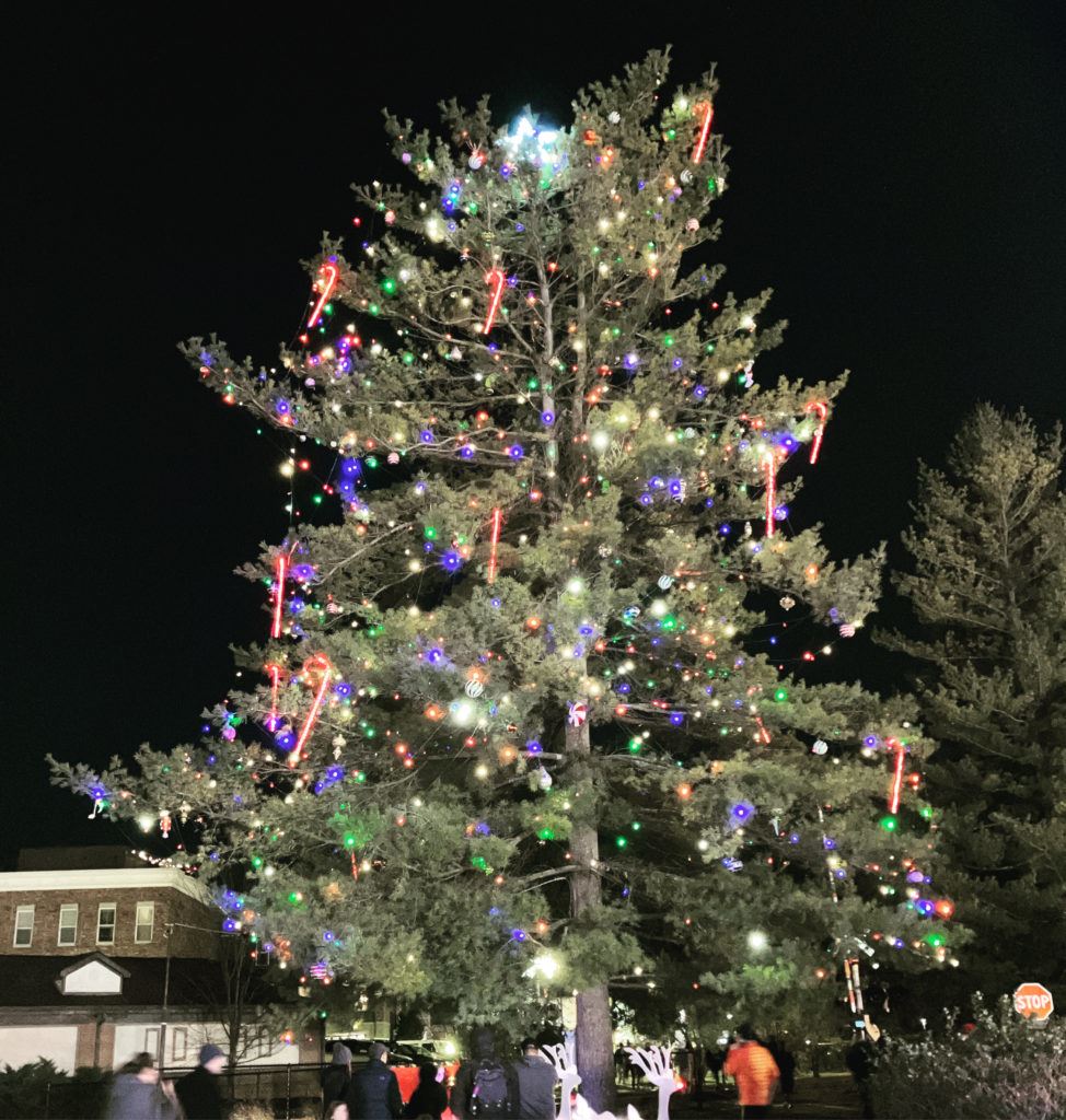 Loveland Christmas Tree